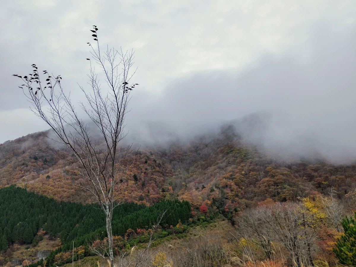A2高塚山登山口の紅葉。ガスが上からかぶさる