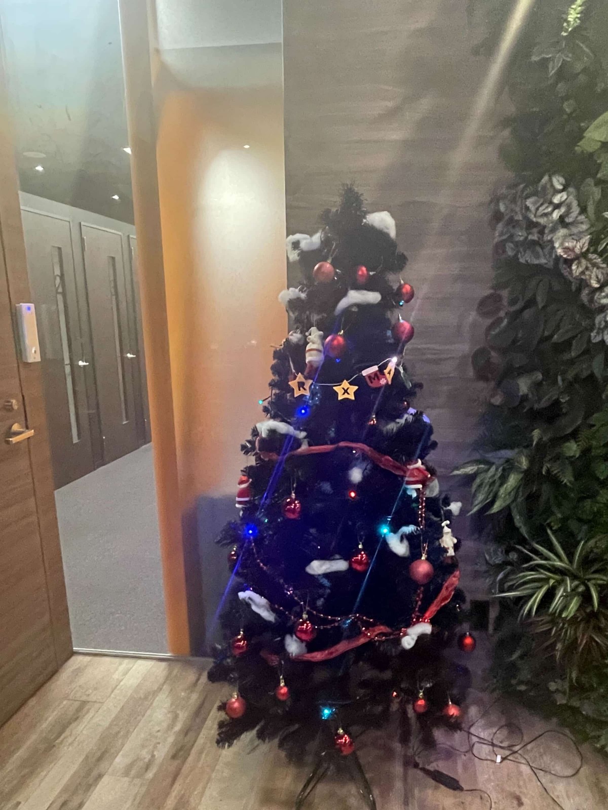 ディーゼロ社内に設置されたクリスマスツリー