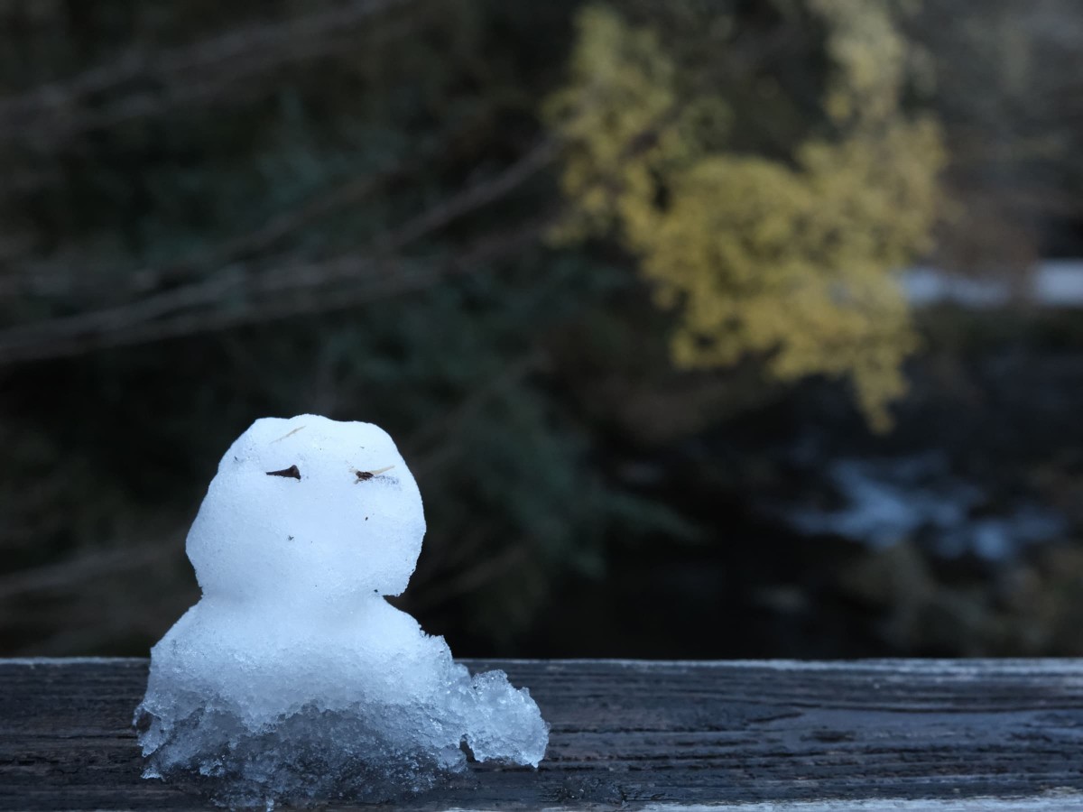 小さな雪だるまの画像