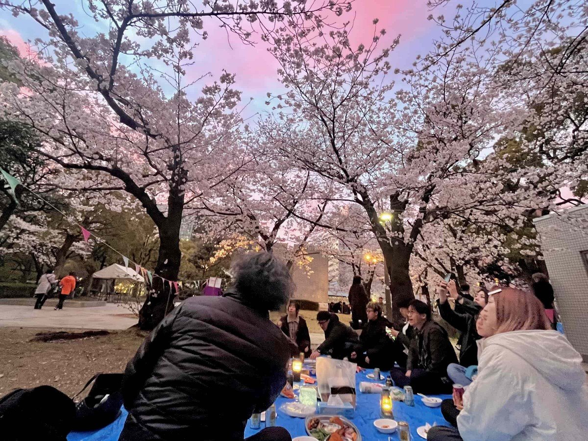 天神中央公園での花見の様子２