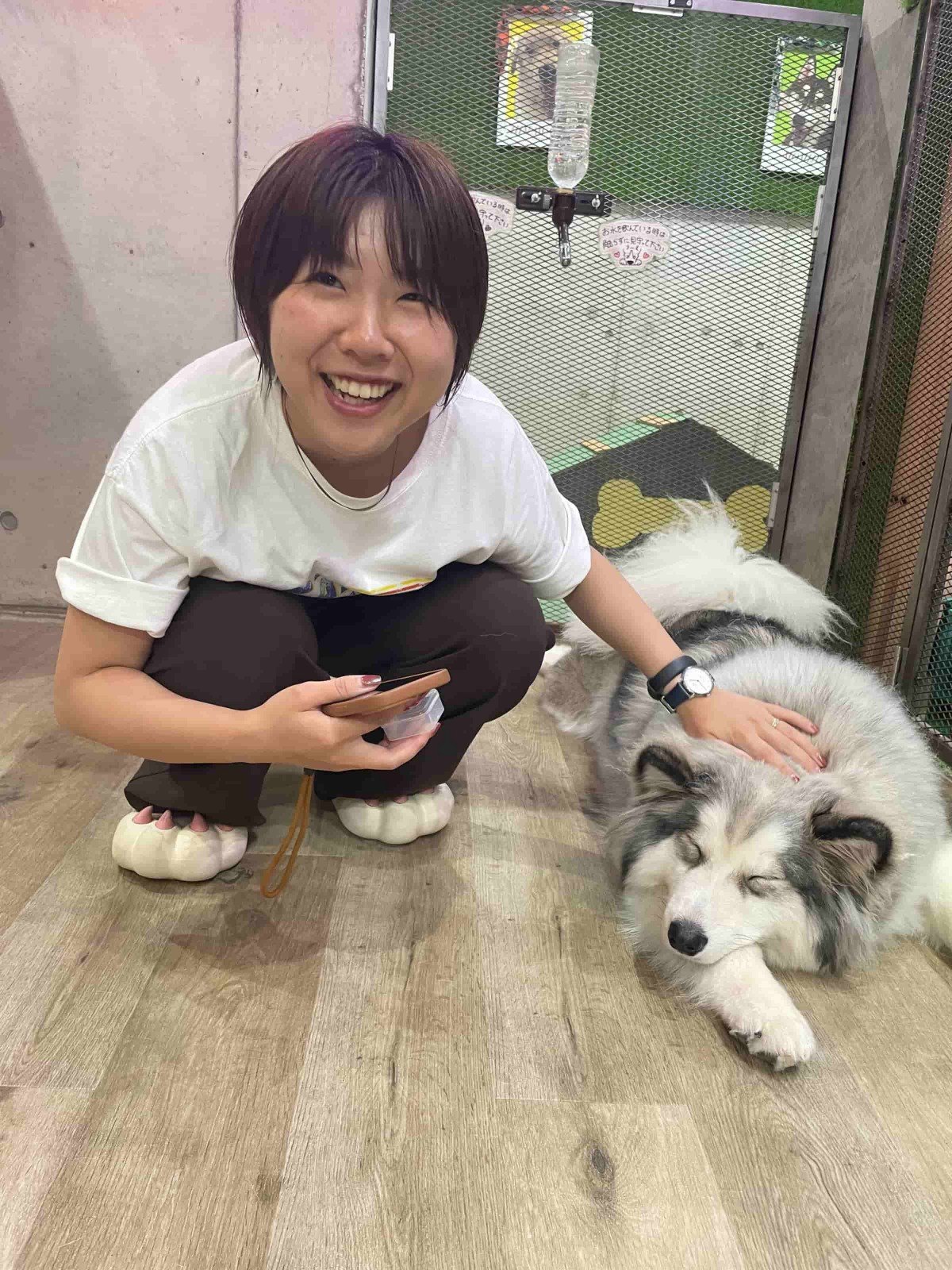 犬をなでる石川さん