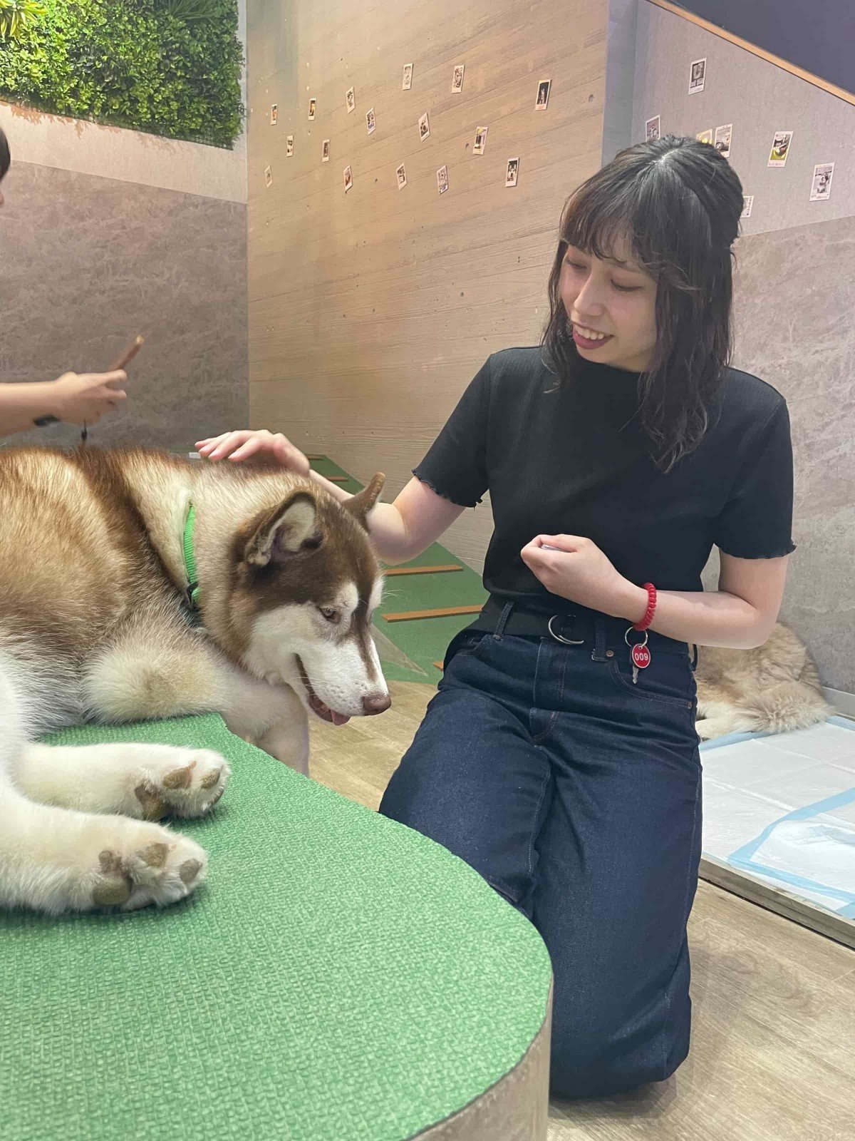 犬をなでる諸富さん