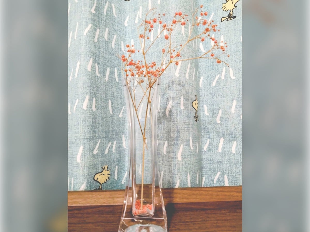 透明で細長い、底が四角いガラスの花瓶に、赤みがかったオレンジ色のドライフラワーとなったカスミソウが数本活けられています。花瓶の底には、ぽろぽろと落ちた赤い小さな花びらが少し溜まっています。 背景にはスヌーピーのキャラクター「ウッドストック」（小さな黄色の鳥）や、雨のような白い手書き風のパターンがプリントされた、くすんだブルーグレーのカーテンが背景に広がっています。