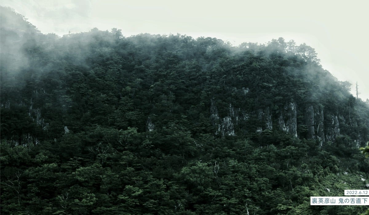 写真：2022.6.12 裏英彦山 鬼の舌直下 ガスのかかった山容