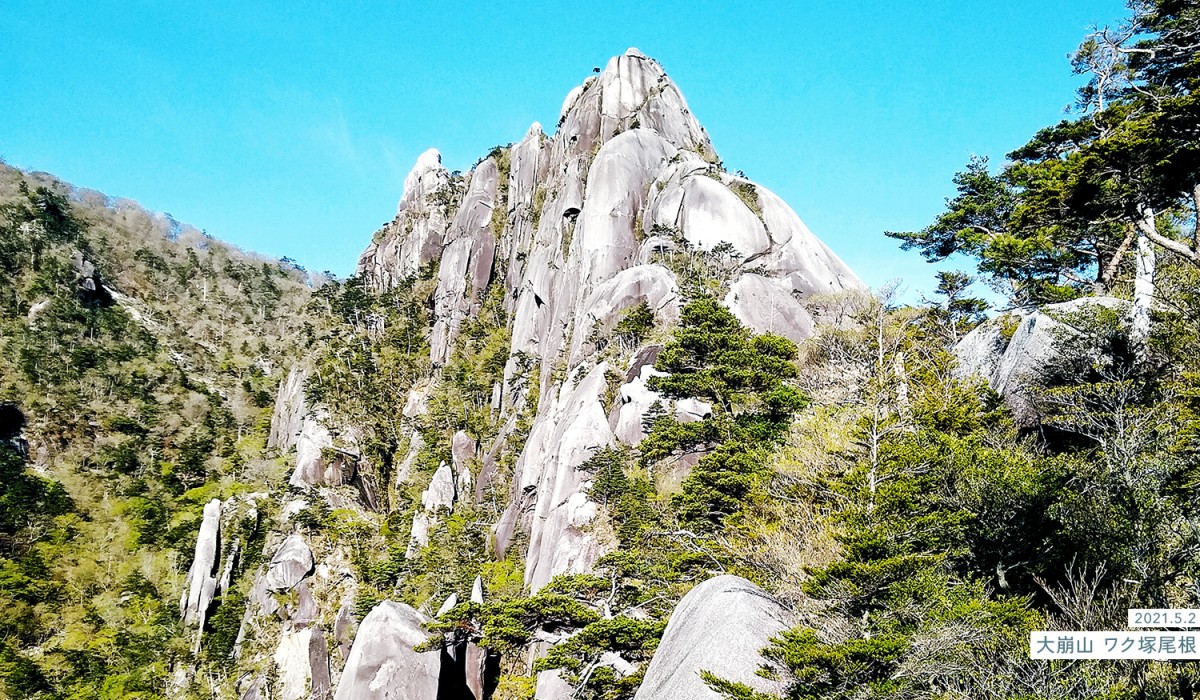 写真：2021.5.2 大崩山 ワク塚尾根の展望台からワク塚を見上げる